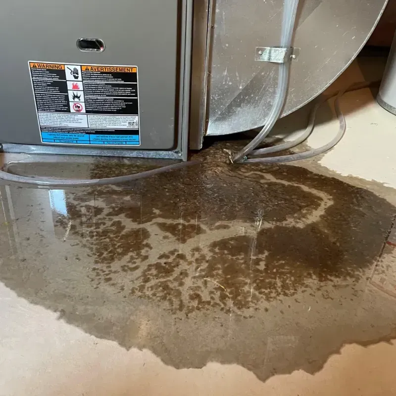 Appliance Leak Cleanup in Danville, IL